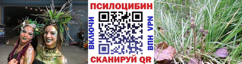 сколько стоит  Александровск-Сахалинский  Галлюциногенные грибы Cubensis 