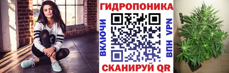 Шишки марихуана планчик  кракен как войти  Александровск-Сахалинский 